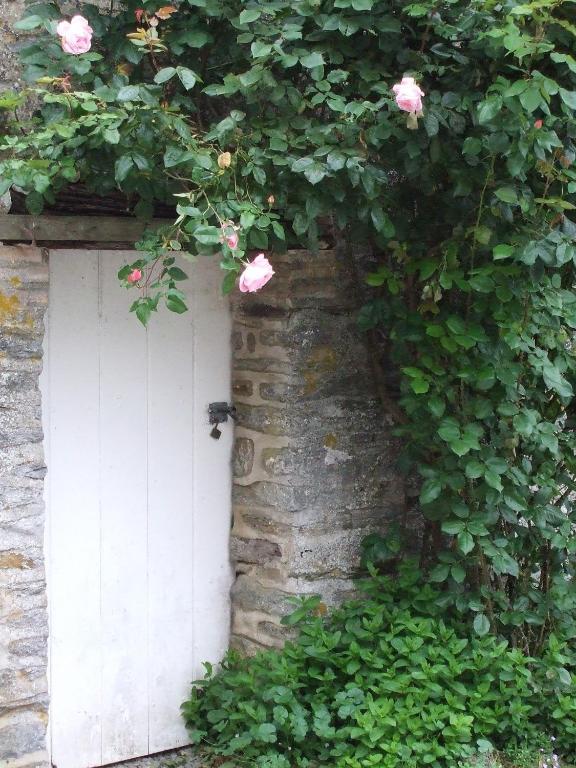 Le Moulin D'Hys Bed & Breakfast La Cropte Exterior photo